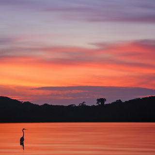Ssese - Sunset